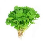 گشنیز 120گرم